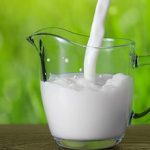 Аллергия на козье молоко у ребенка: причины, симптомы и лечение
