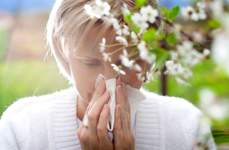 Аллергия на растения