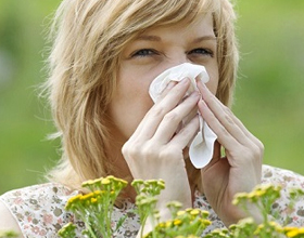 Аллергия на пыльцу деревьев: симптомы, диета и лечение