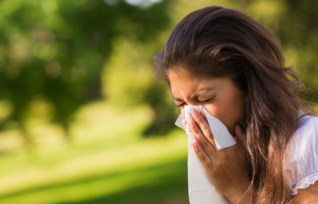 Чихание при аллергии на березу
