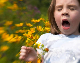 Аллергия на сорные травы: симптомы, лечение и диета