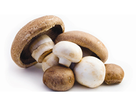 Аллергия на грибы: причины, симптомы и что делать